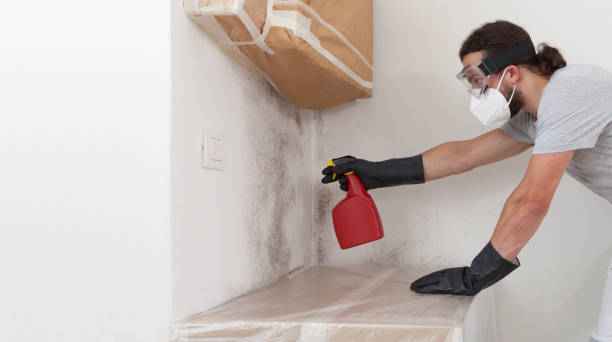 Professional Mold Remediation technician working in Upper Falls, MD